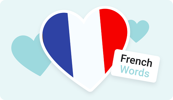 برای یادگیری زبان فرانسه در فرانسه به چه ویزائی نیاز دارم؟